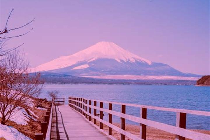 Escorts Yao, Japan — Local Companions