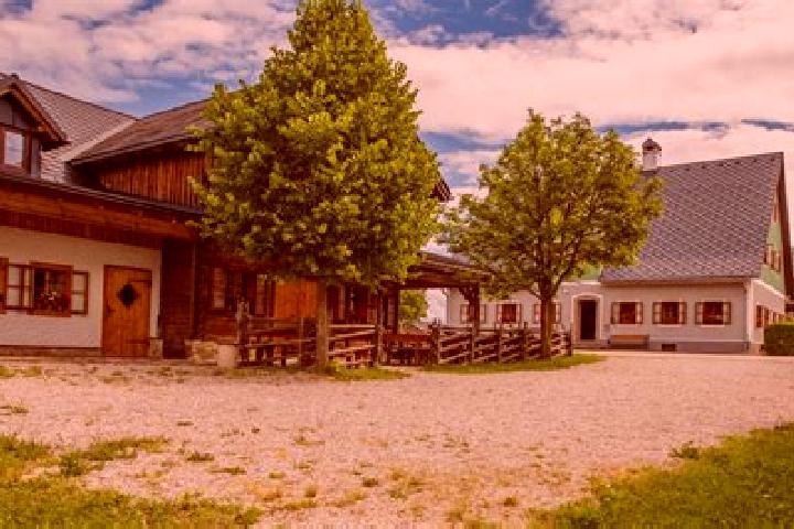 Escorts Ybbsitz, Austria — Local Companions