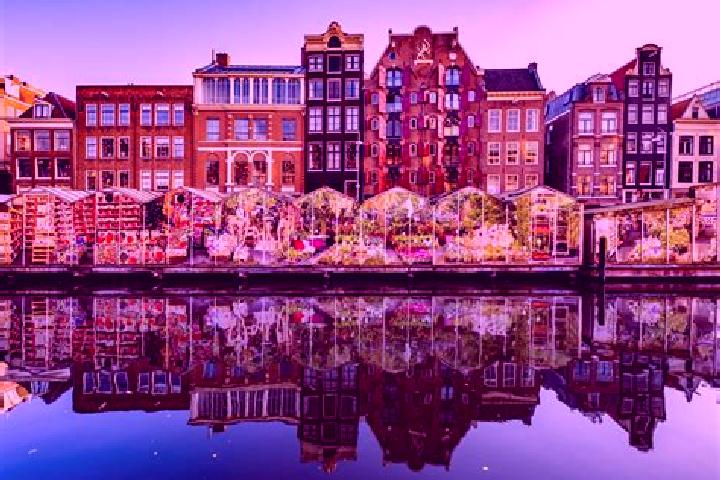 Escorts Yde, Netherlands — Local Companions