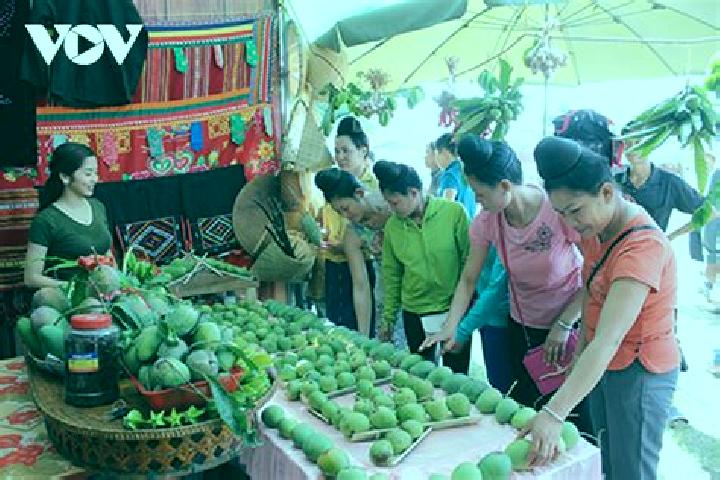 Escorts Yen Chau, Vietnam — Local Companions