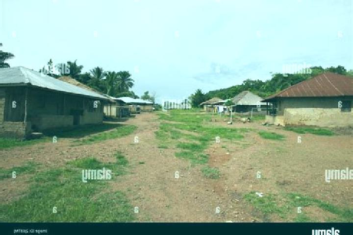 Escorts Yengema, Sierra Leone — Local Companions