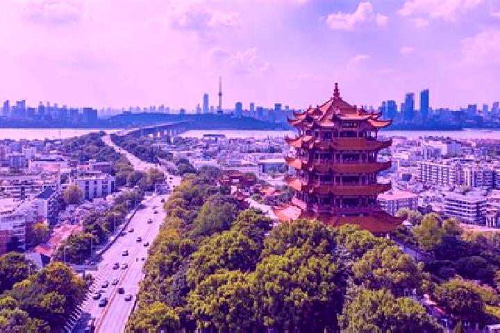 Escorts Yinghua, China — Local Companions