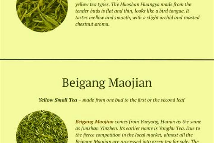 Escorts Yinzhen, China — Local Companions