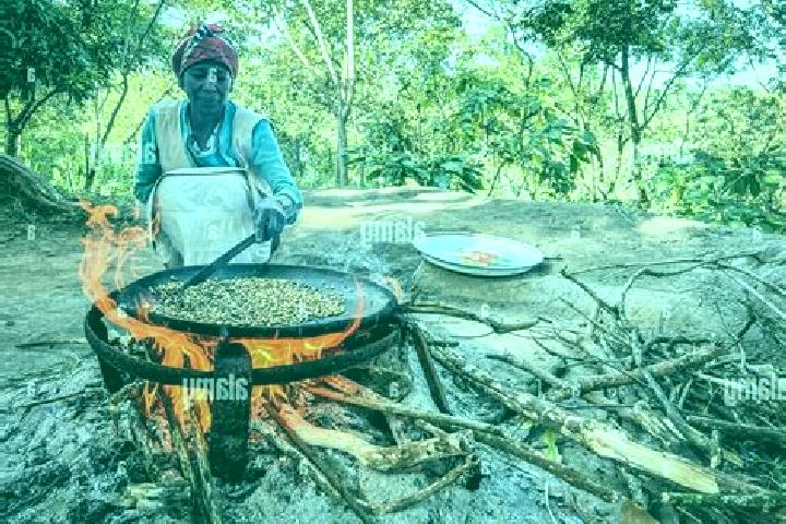 Escorts Yirga Alem, Ethiopia — Local Companions
