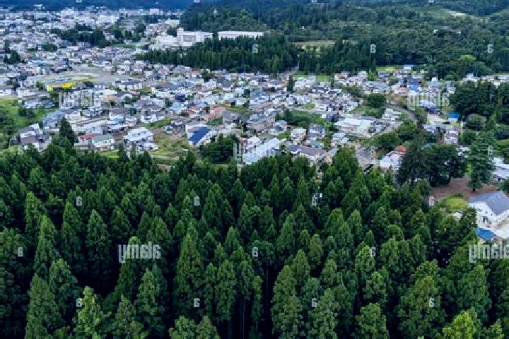 Escorts Yokote, Japan — Local Companions