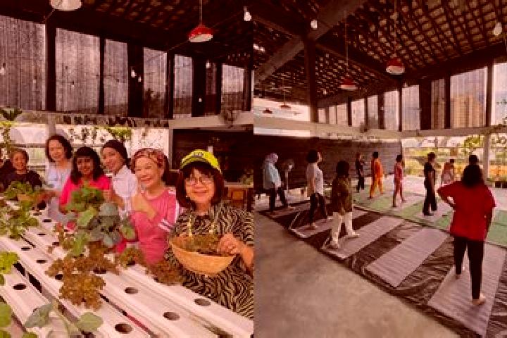 Escorts Yong Peng, Malaysia — Local Companions