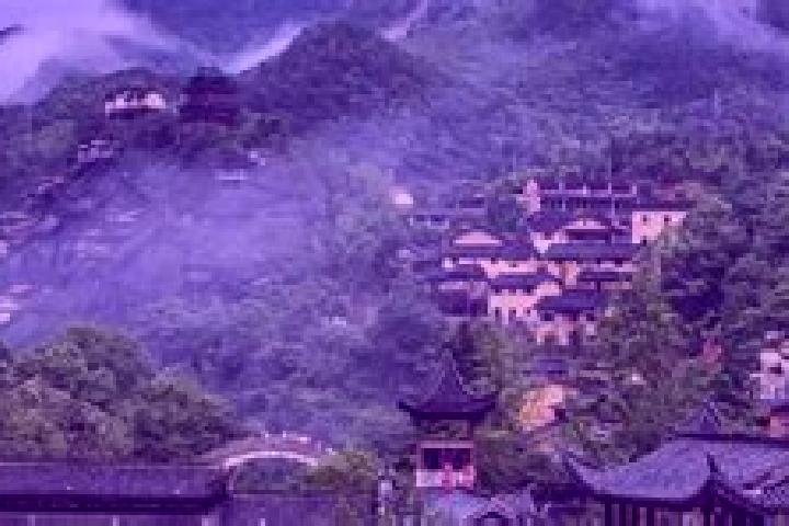 Escorts Youhua, China — Local Companions