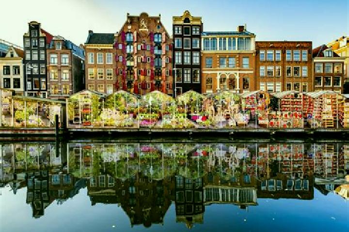 Escorts Ypenburg, Netherlands — Local Companions