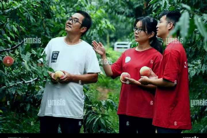 Escorts Yukou, China — Local Companions
