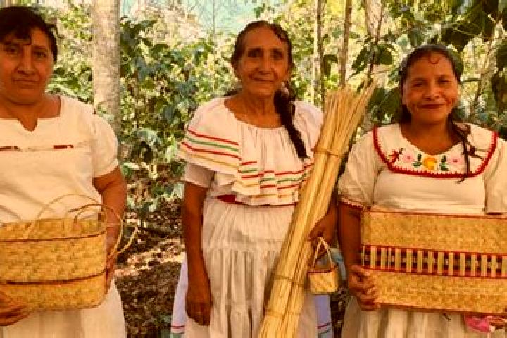 Escorts Yupiltepeque, Guatemala — Local Companions