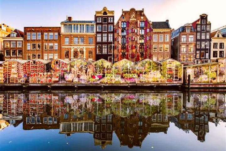 Escorts Zaamslag, Netherlands — Local Companions