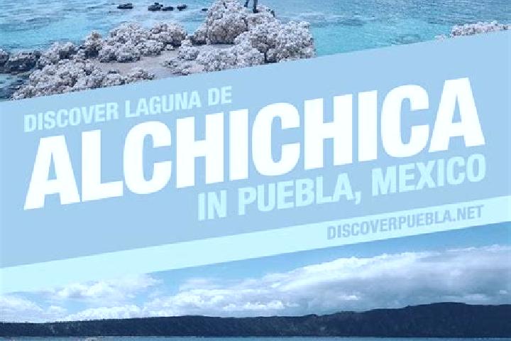 Escorts Zalayeta (Alchichica y el Bordo), Mexico — Local Companions