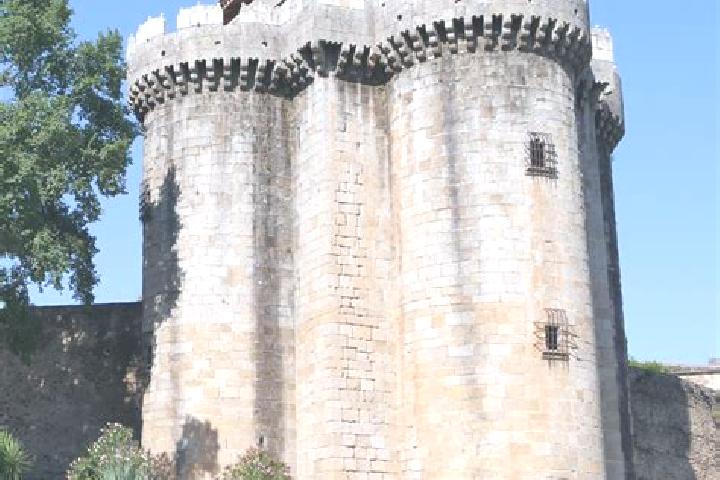 Escorts Zarza de Granadilla, Spain — Local Companions