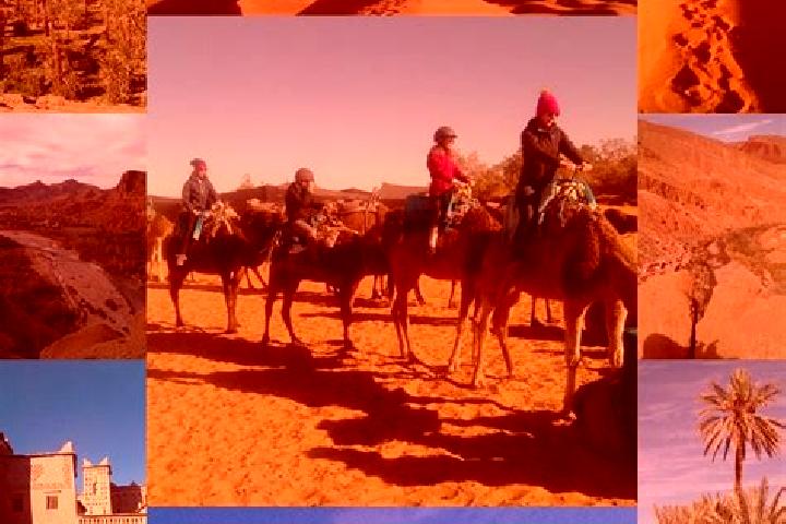 Escorts Zawyat ech Cheikh, Morocco — Local Companions