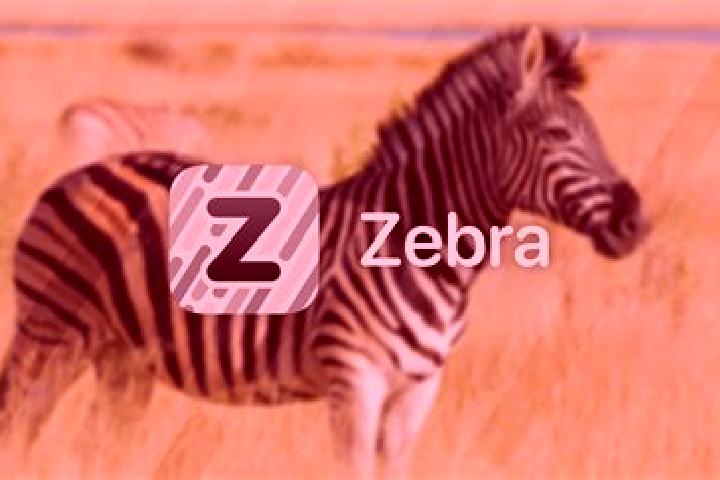 Escorts Zebra, Ivory Coast — Local Companions