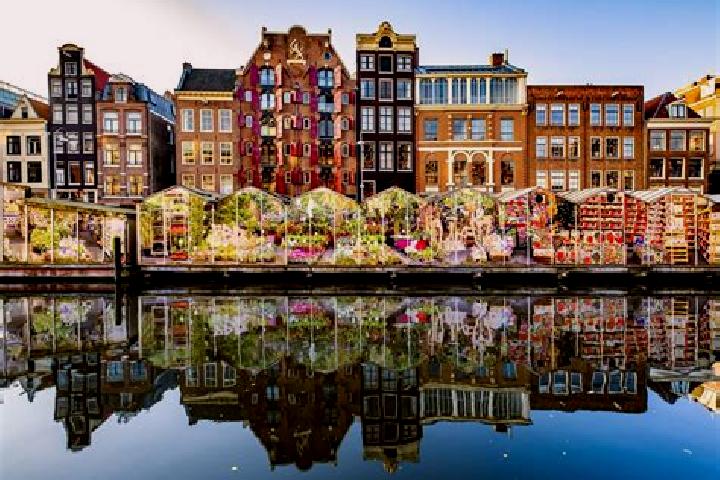 Escorts Zegveld, Netherlands — Local Companions