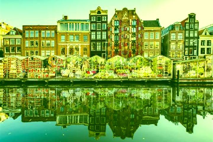Escorts Zeilberg, Netherlands — Local Companions