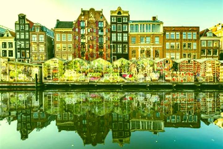 Escorts Zeist, Netherlands — Local Companions