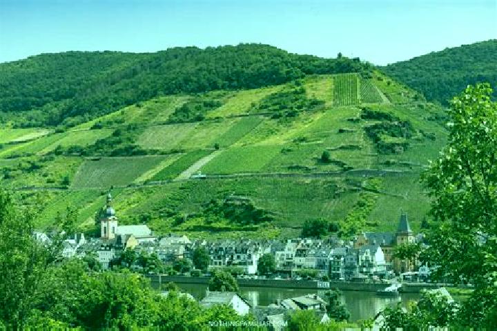 Escorts Zell, Germany — Local Companions