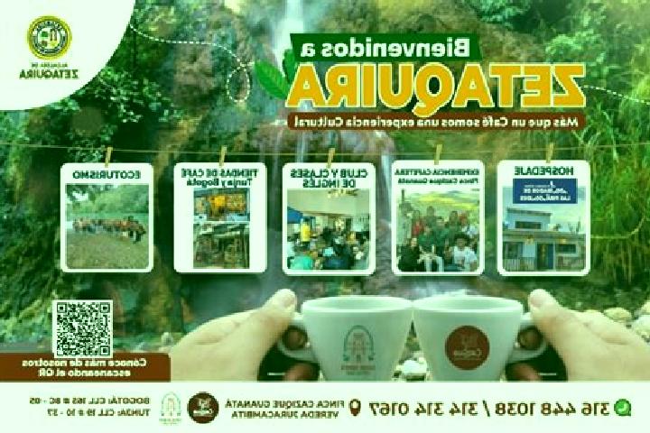 Escorts Zetaquira, Colombia — Local Companions