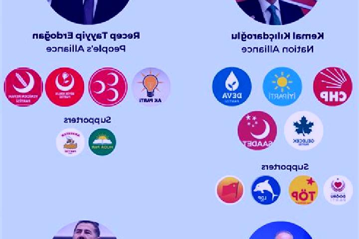 Escorts Zeytinoba, Turkey — Local Companions