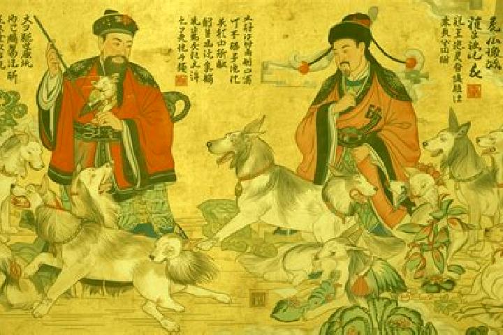 Escorts Zhamog, China — Local Companions