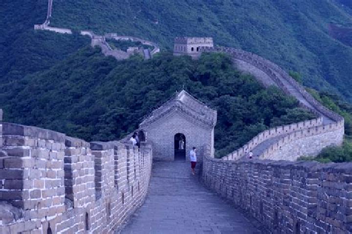 Escorts Zhangfang, China — Local Companions