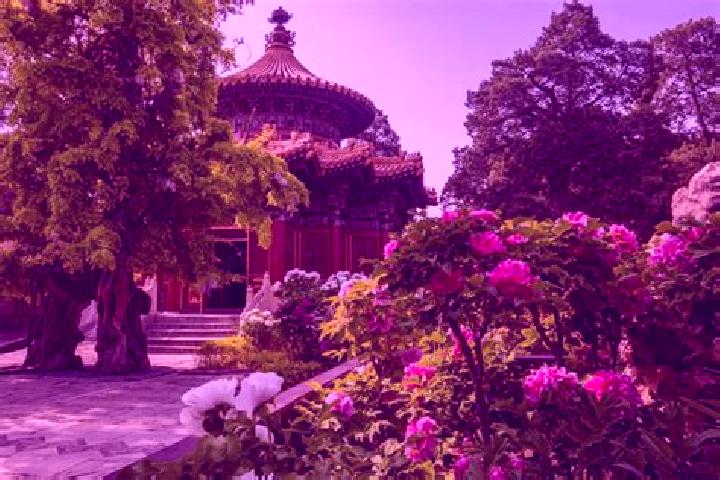 Escorts Zhongnan, China — Local Companions