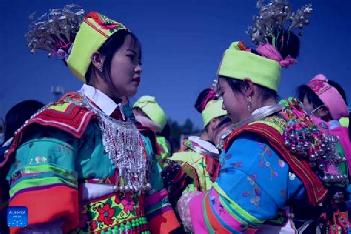 Escorts Zhongpai, China — Local Companions