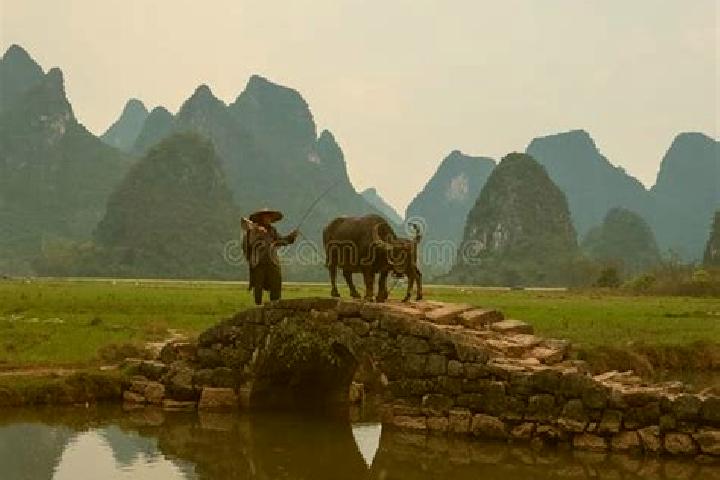 Escorts Zhuangyuan, China — Local Companions
