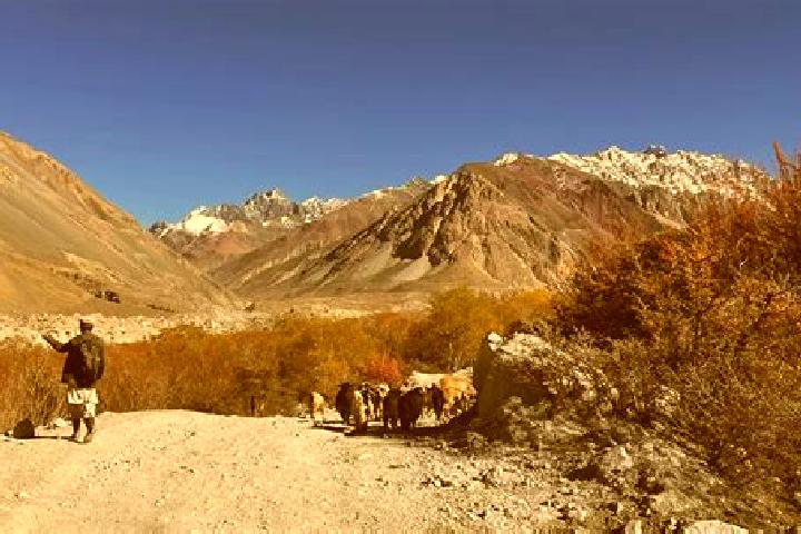 Escorts Ziarat, Pakistan — Local Companions