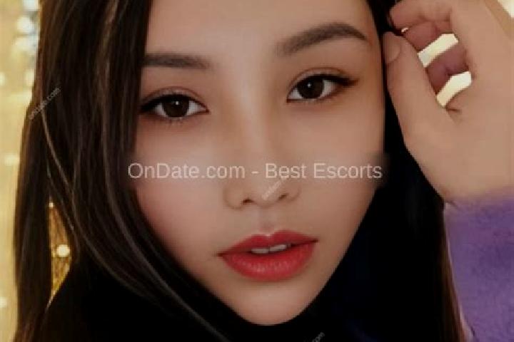 Escorts Zijin, China — Local Companions