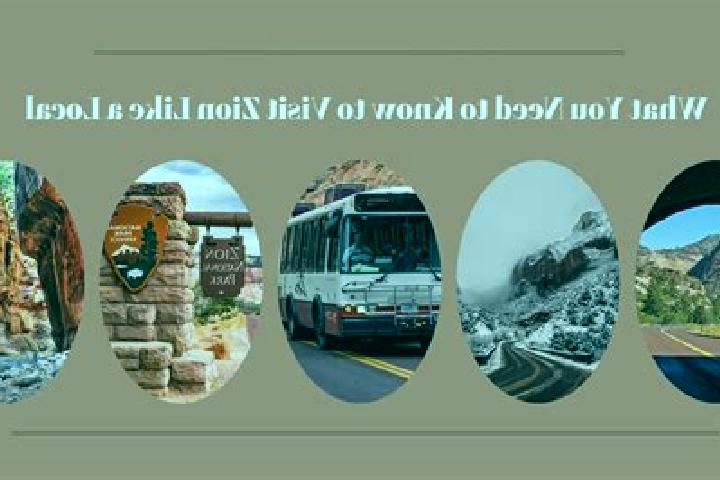 Escorts Zion, United States — Local Companions