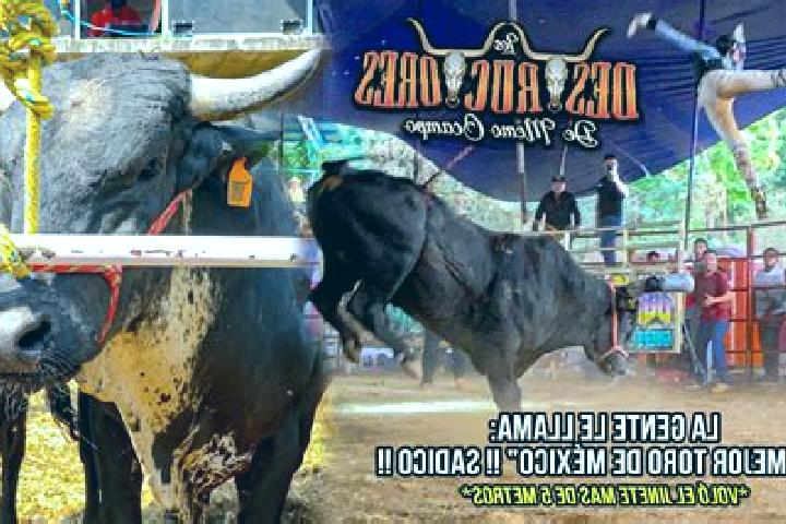 Escorts Zirimbo, Mexico — Local Companions