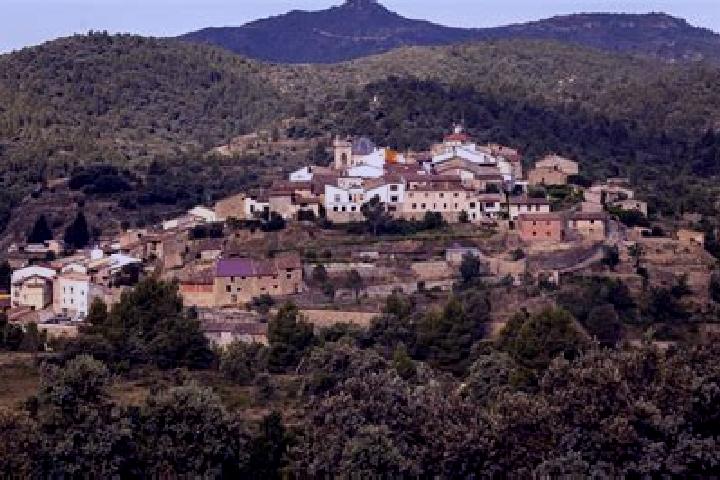 Escorts Zorita del Maestrazgo, Spain — Local Companions