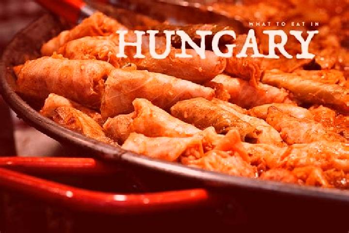 Escorts Zsombo, Hungary — Local Companions