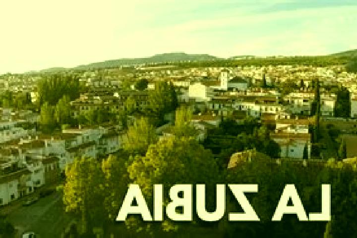 Escorts Zubia, Spain — Local Companions
