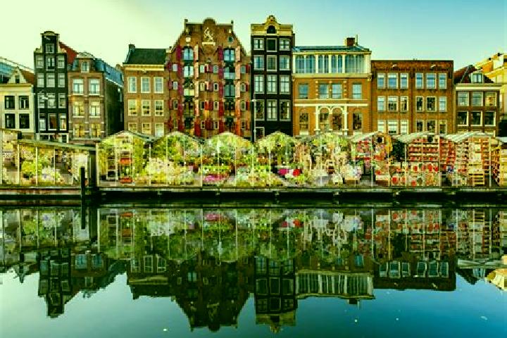 Escorts Zuidbuurt, Netherlands — Local Companions