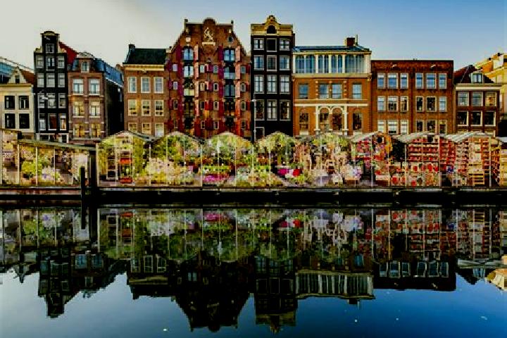Escorts Zuiddorpe, Netherlands — Local Companions