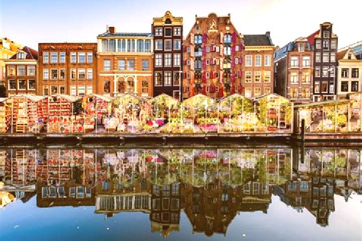 Escorts Zuidwijk, Netherlands — Local Companions