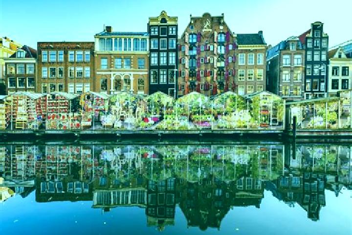 Escorts Zutphen, Netherlands — Local Companions