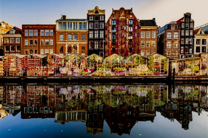 Escorts Zwartewaal, Netherlands — Local Companions