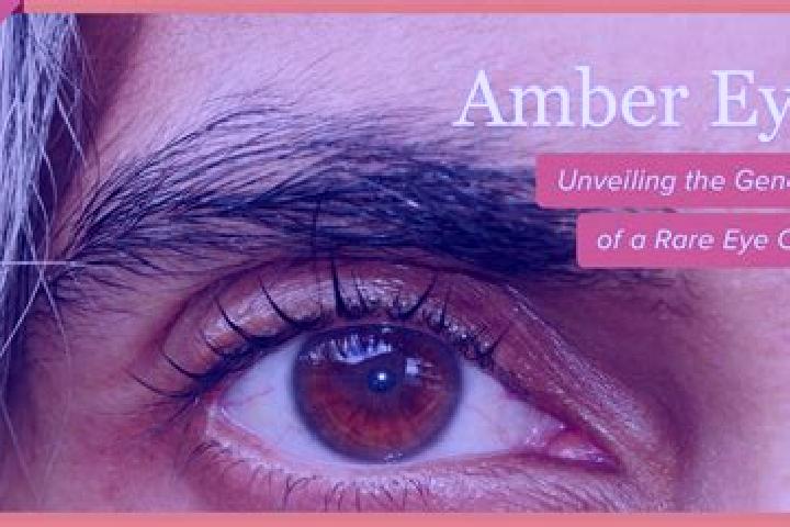 Eva, 20, a dark blonde amber-eyed mixed companion based in Union de Progreso (Lomas de Irapeo). Offering Dinner Date, BDSM, Fetish, Roleplay. Available for i...