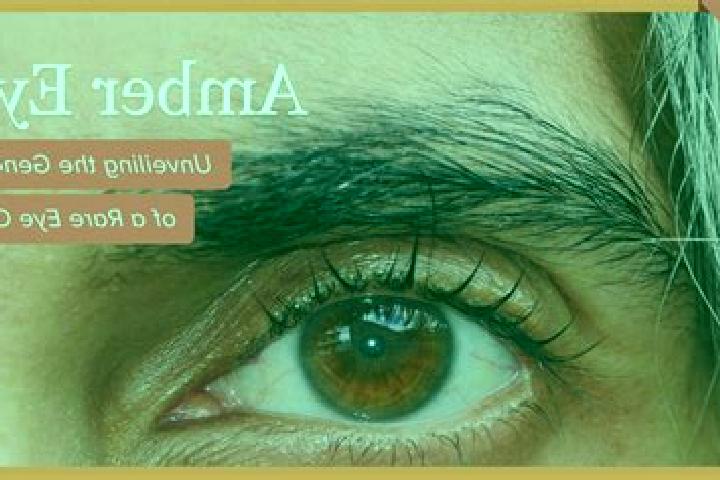Eva, 20, a red amber-eyed mediterranean companion based in Blawnox. Offering Duos, Dinner Date, Domination, Couples. Available for incall and outcall, day an...