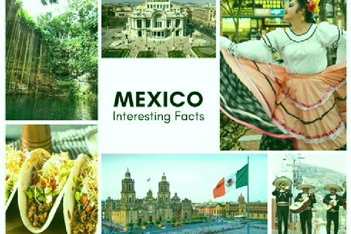 Eva, 20 — Escort in Acuaco, Mexico