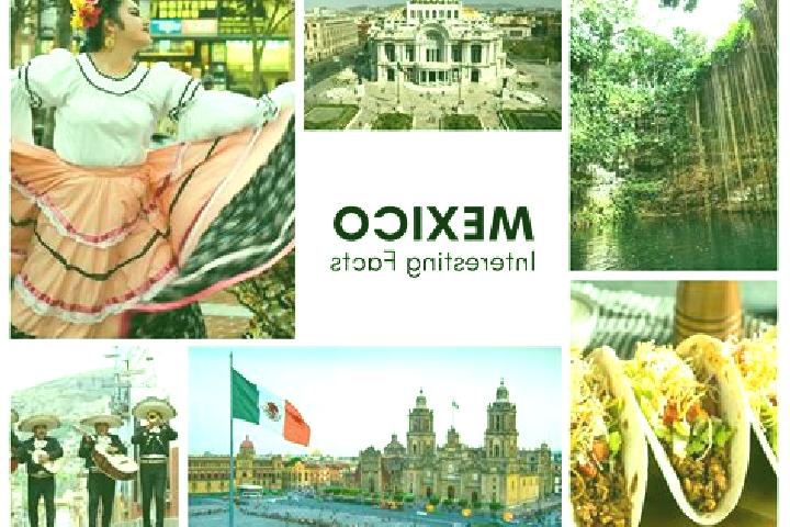 Eva, 20 — Escort in Maxtaco, Mexico