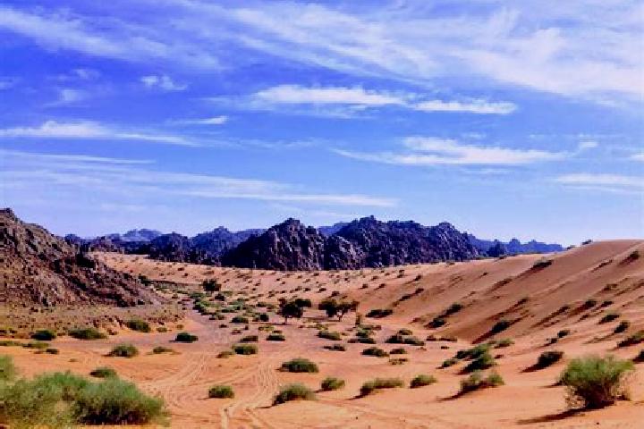 Eva, 22 — Escort in Al Khafji, Saudi Arabia
