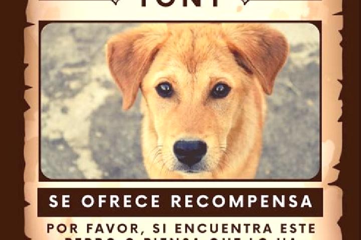 Eva, 22 — Escort in Santa Clara Ocoyucan, Mexico