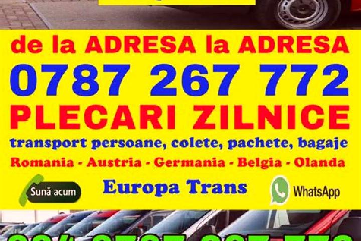 Eva, 23 — Escort in Arpasu de Jos, Romania
