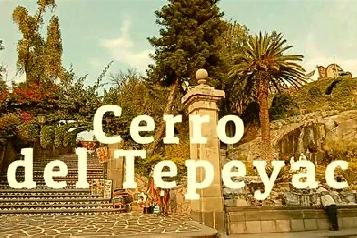 Eva, 23 — Escort in San Francisco Tepeyecac, Mexico
